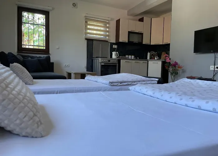 Apartman Ami